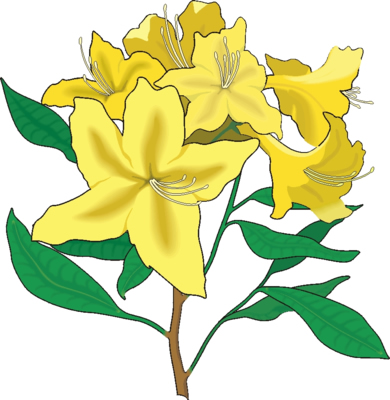 flower clip art images. Flower Clip Art 8