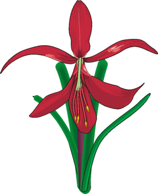 clip art flowers images. Flowers Clip Art Free.