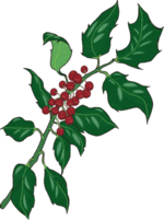 Holly Branch 1 Clip Art