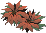 Poinsetta Clip Art