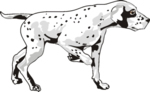 Dog Clip Art 28