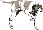 Dog Clip Art 46