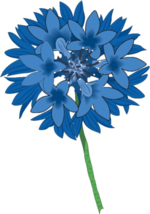 Flower Clip Art 10