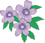 Flower Clip Art 13