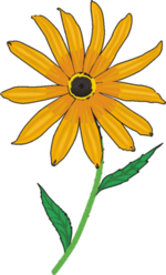 Flower Clip Art 17