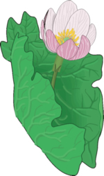 Flower Clip Art 19