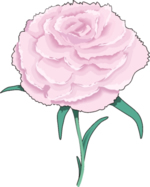 Flower Clip Art 27