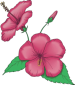 Flower Clip Art 29