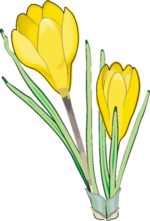 Flower Clip Art 37