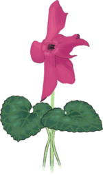 Flower Clip Art 38