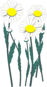 Flower Clip Art 46