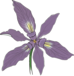 Flower Clip Art 48