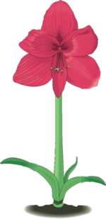 Flower Clip Art 4