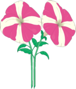 Flower Clip Art 50