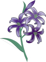 Flower Clip Art 58