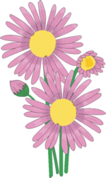 Flower Clip Art 7