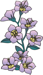 Flower Clip Art 92