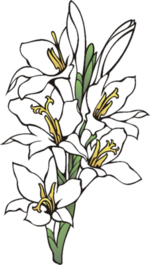 Flower Clip Art 96