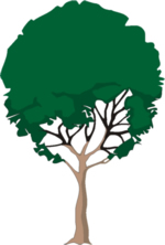 Tree Clip Art 41