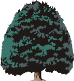 Tree Clip Art 42