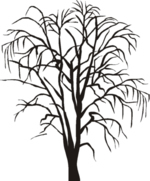 Tree Clip Art 56