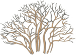 Tree Clip Art 7