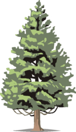 Tree Clip Art 8